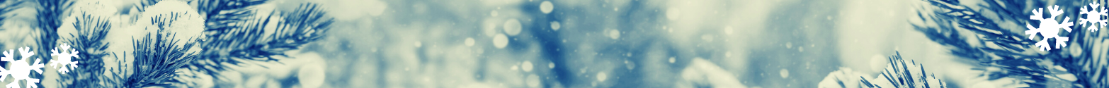 Snowy, winter scene with illustrations of while snowflakes in the corners.