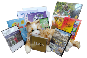 caring for the caregiver kit: companion cat, dvd, books and cd