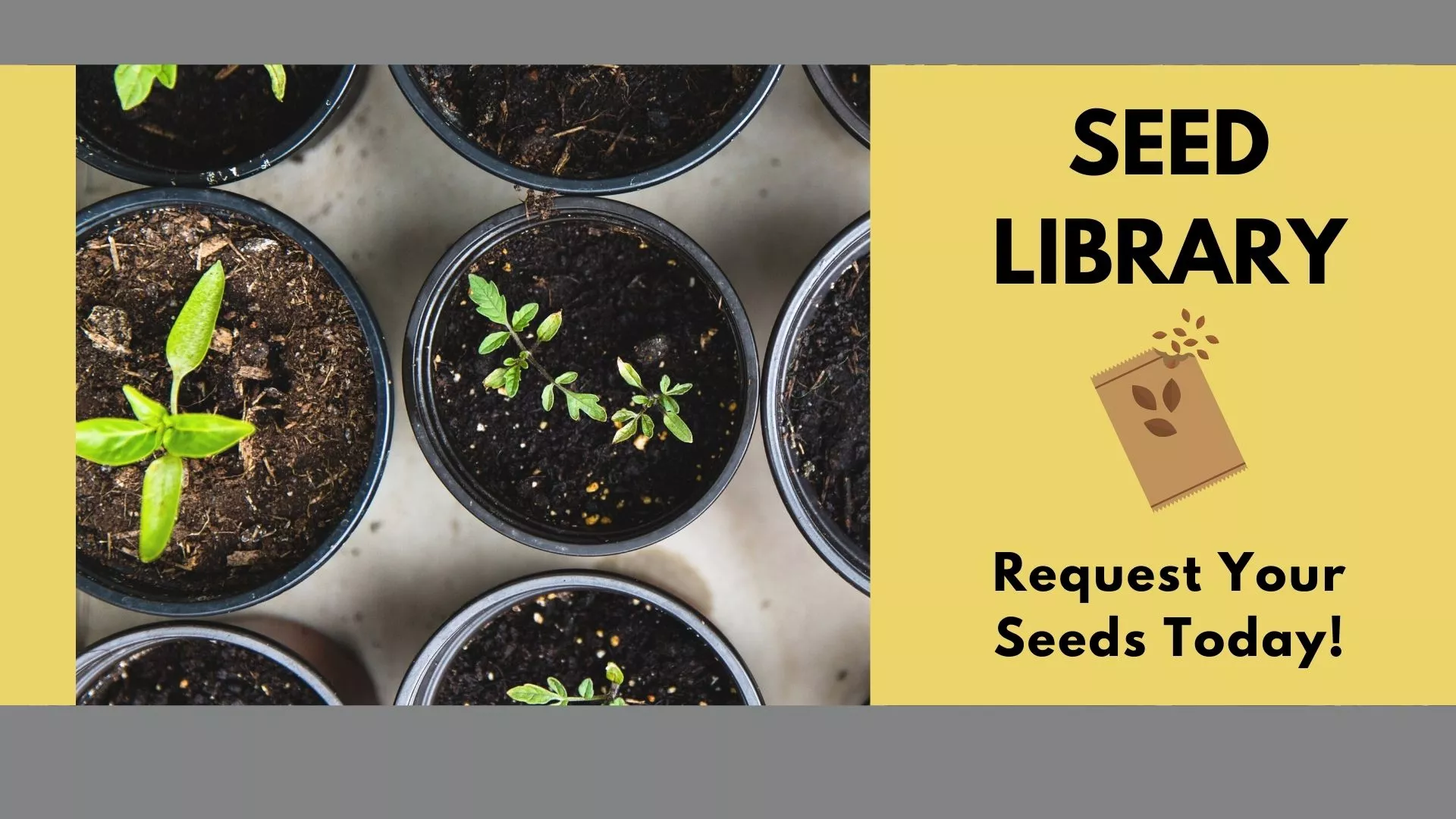 Seed Library banner