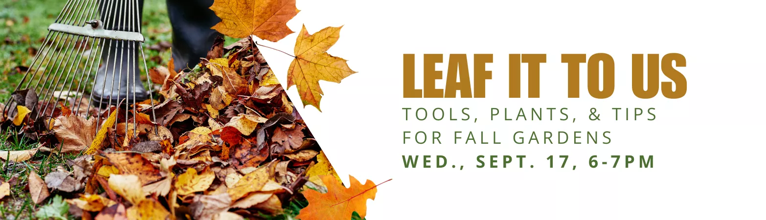 Leaf it to Us: Tools, Plants &amp; Tips for Fall Gardens. Wednesday, September 176:00—7:00 PM