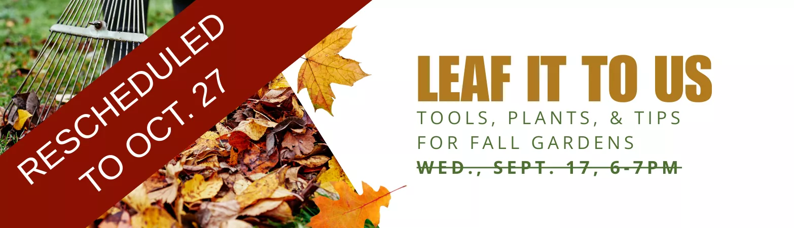 Reschedule to October 27: Leaf it to us: Tools, plants, &amp; Tips for Fall gardens